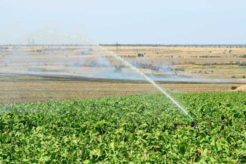Plant Irrigation Installation in Ventura County, CA