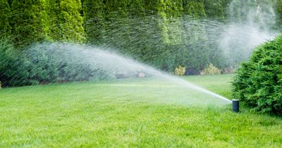 Sprinkler Startup Service