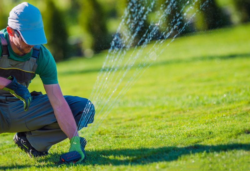 Sprinkler Startup Service