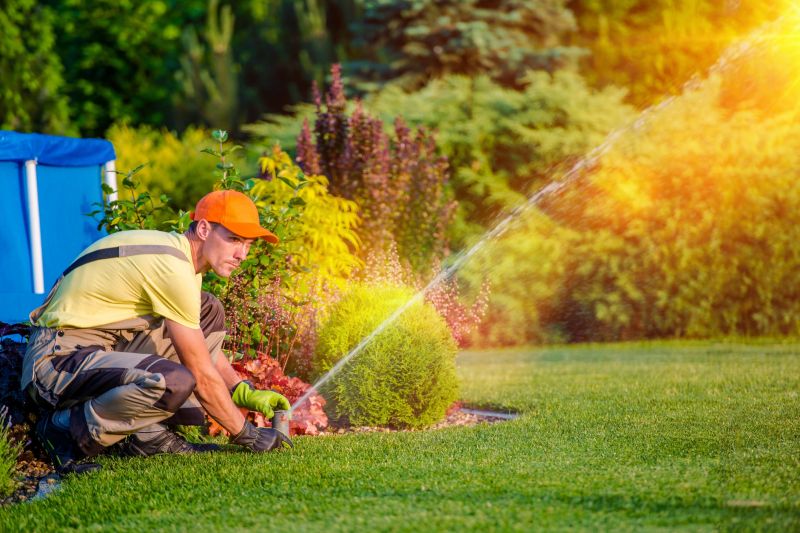 Sprinkler Startup Service detail
