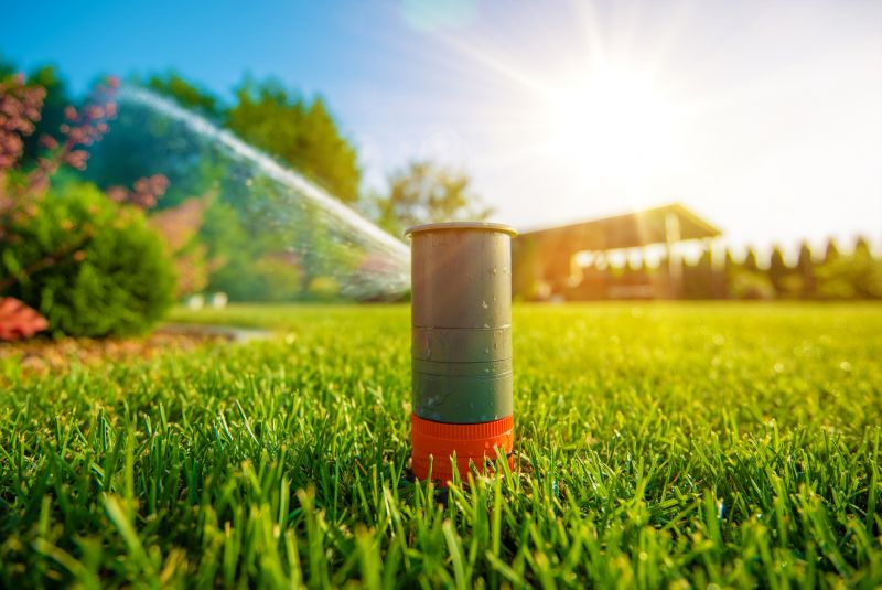 Sprinkler Startup Service detail