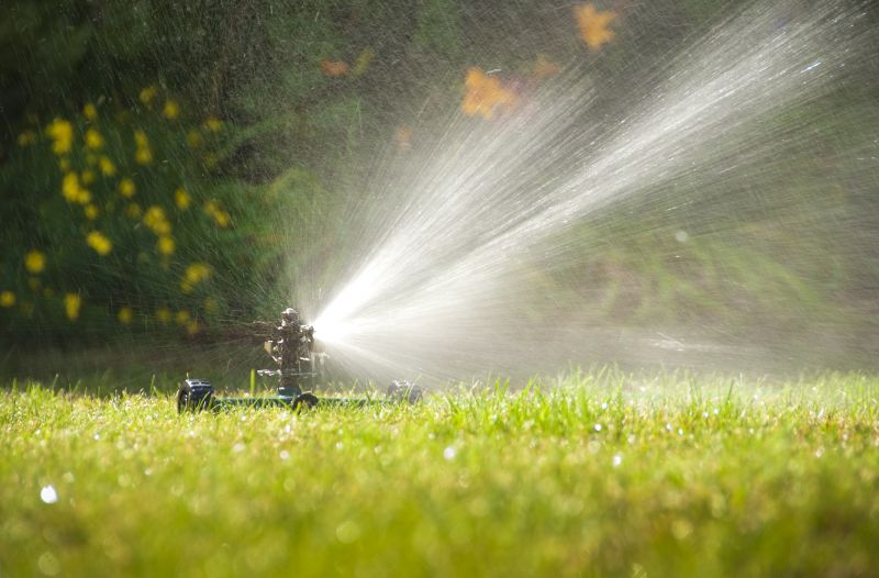 Sprinkler Startup Service detail