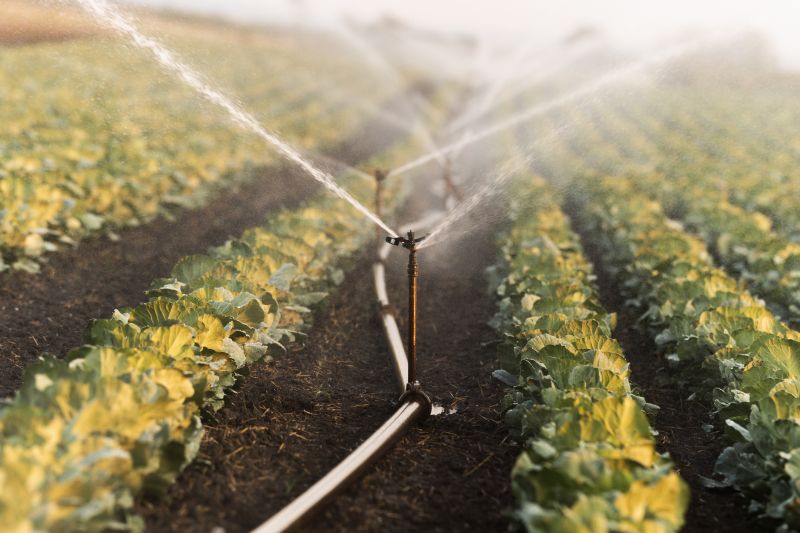 Irrigation Service in Ventura County, CA