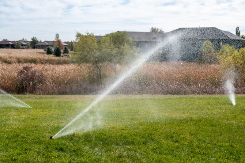 Sprinkler Startup Service